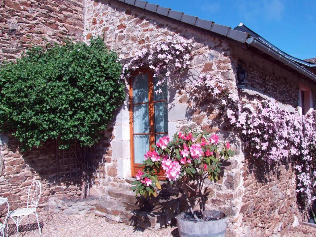 Domaine De Lasfonds Rieupeyroux  Zimmer foto